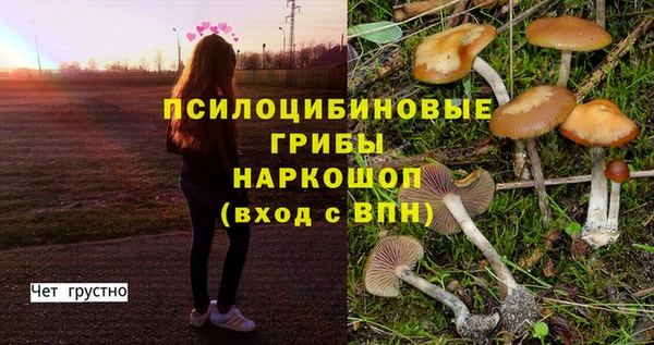 гидра Абдулино